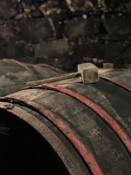 Postani vinar za en dan 10